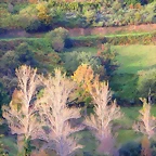 41-IMG_3379