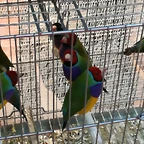 IMG_20170122_121040