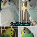 PicsArt_08-31-11.25.57