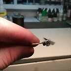 20170402_162840