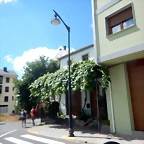 DSCN9030