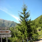 DSCN8477