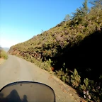 DSCN9058