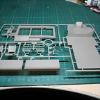DSCN5766
