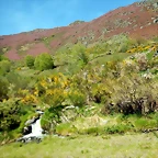 DSCN1045