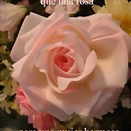 Rosa-1mujer