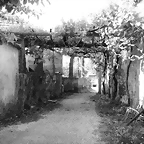 49-IMG_1427