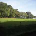 DSCN9784