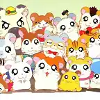 Hamtaro