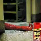 raid-mata-insectos