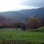 DSCN4580