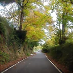 DSCN4574