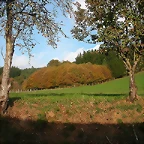 DSCN4569