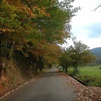 DSCN4572