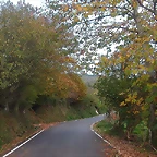 DSCN4576