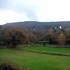 DSCN4577
