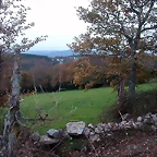 DSCN5008