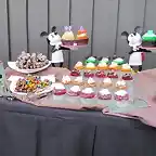 cupcake-show-500x281