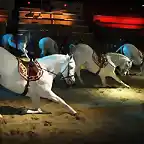 medievaltimes