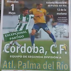 Palma-CCF