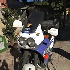 49793834_1966105610175846_5777342049527267328_n
