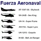 Fuerza Aeronaval de Brasil