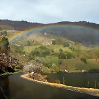 DSCN8308