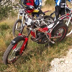 resized_Trial 2DT 019