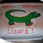 Lizard