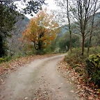 DSCN3270
