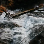 DSCN6698