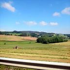 DSCN6165