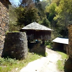 DSCN4476
