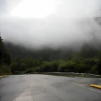 DSCN8495