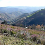 DSCN9030