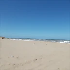 DSCN0817