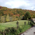 DSCN8304