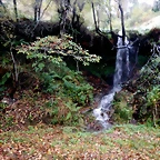 DSCN2930