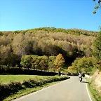 DSCN8830