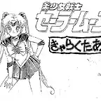 settei-sailormoon-009