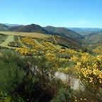 DSCN0976