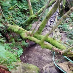 DSCN5830