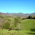 DSCN0144