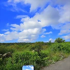 29-IMG_1499