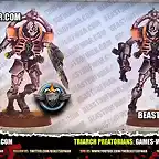 Necron-Triarch-Preatorians-2-Beasts-of-War