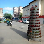 DSCN8706