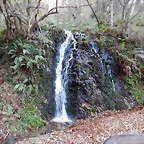 DSCN0901