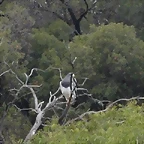 P1120674 (Small)