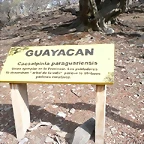 P1120798 (Small)
