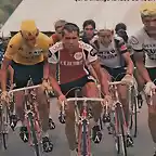 TOUR 1977-THEVENET-VAN IMPE-ZOETTEMELK.